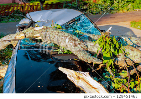 Large tree branch has fallen onto black car after strong storm, causing significant damage in residential area. 129451465