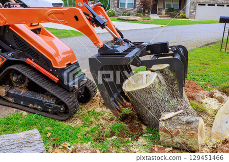 Compact skid steer track loader is working to remove large tree stump after strong tornado from quiet suburban area. 129451466