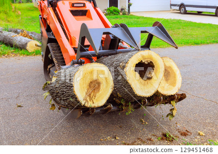 Skid steer machine moves large, freshly cut logs along driveway after hurricane in calm residential area. 129451468