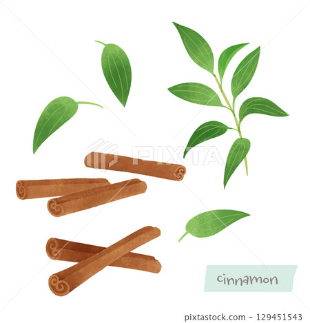 Cinnamon watercolor illustration 129451543
