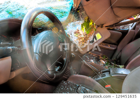 Car interior covered in debris from fallen tree, indicating recent storm damage 129451635