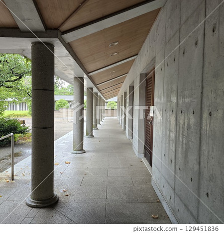 Corridor 129451836