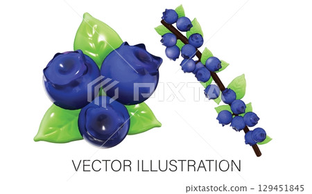 Realistic 3D Vector Blueberry Set: Large Berries and Twig Illustration on White Background 129451845