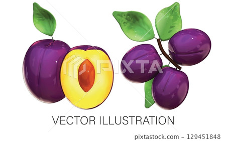 Realistic 3D Vector Damson Plum Set: Whole, Halved, and Branch Illustration on White Background 129451848