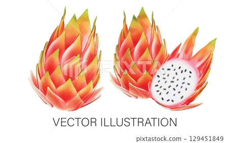 Realistic 3D Vector Dragon Fruit Set: Whole and Halved Illustration on White Background Realistic 3D Vector Dragon Fruit Set: Whole and Halved Illustration on White Background 129451849