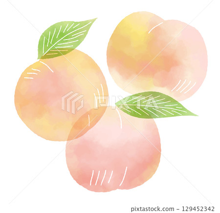 水彩風格桃插圖 水彩風格桃插圖 129452342
