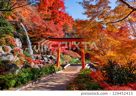 Torii gate by cascading water at Katsuoji temple garden in fall, Osaka Torii gate by cascading water at Katsuoji temple garden in fall, Osaka 129452413