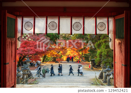 Tamukeyama Hachimangu Shrine entrance gate in autumn, Nara 129452421