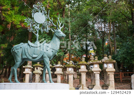Deer god statue by lantern at Taisha shrine in autumn, Nara, Japan 129452429