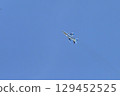 [Osaka] Blue Impulse celebrates Expo 2025. The blue and white aircraft was cool and performed an amazing acrobatic flight. 129452525