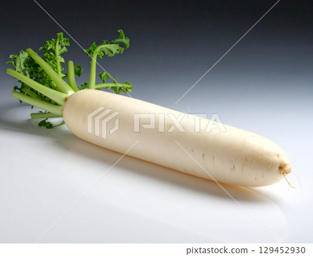 秋收蔬菜（蘿蔔、白蘿蔔） 129452930