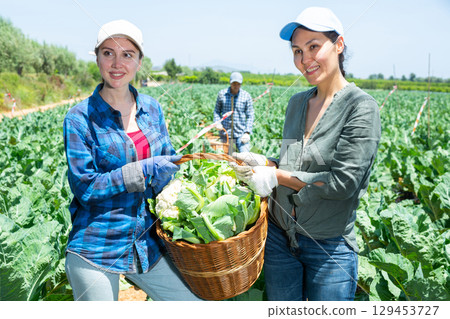 Two happy women holding cauliflower harvest basket together 129453727