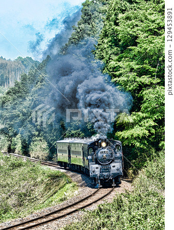 Moka鐵路蒸汽機車 129453891