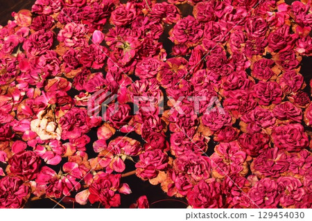 Roses floating on the surface of the water 129454030