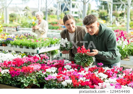 Couple man and woman choosing cyclamen in flower shop Couple man and woman choosing cyclamen in flower shop 129454490
