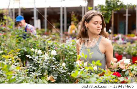 Young female shopper admiring blooming roses at garden center Young female shopper admiring blooming roses at garden center 129454660