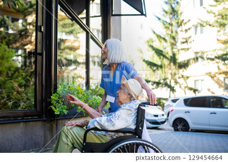 Female nurse assisting old woman in wheelchair, window shopping. 129454664