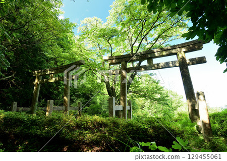Two Torii Gates (Ishimichi, Koyasan Town) [Katsuragi Town, Wakayama Prefecture] 129455061