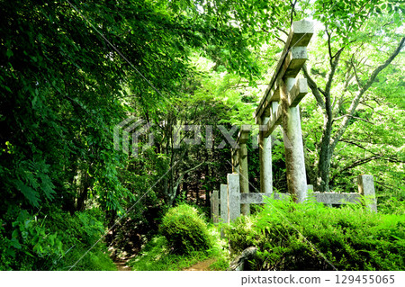 Two Torii Gates (Ishimichi, Koyasan Town) [Katsuragi Town, Wakayama Prefecture] 129455065