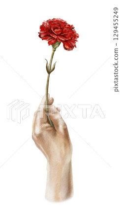A red carnation flower in an upward-raised hand, symbolizing freedom, peaceful change in the nation's life, and democracy. Hand drawn watercolor iilustration isolated on white in vintage style 129455249