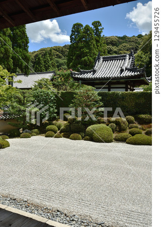 週庵一休寺的夏天：晴朗的日子裡的北條家南苑（京都府京田邊市） 129455726