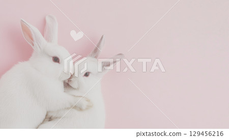 Two cute rabbits with hearts on pink background, St Valentines Day or Easter postcard 129456216