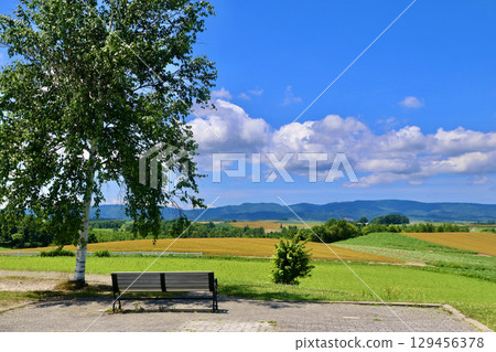 神榮之丘展望公園（北海道美瑛） 129456378