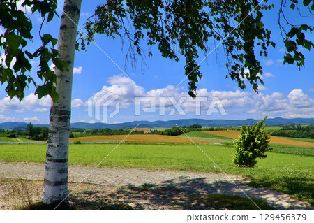 神榮之丘展望公園（北海道美瑛） 129456379