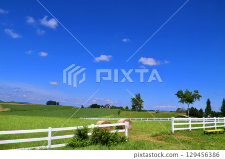 神榮之丘展望公園（北海道美瑛） 129456386