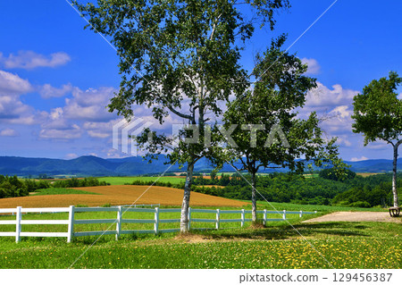 Shinei Observatory Park (Biei, Hokkaido) Shinei Observatory Park (Biei, Hokkaido) 129456387
