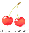 Cherry Illustration 129456410