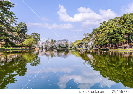 春天的大宮公園船屋池，水面倒映著如鏡般的美景 129456724