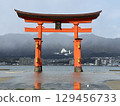 Miyajima's big torii gate floating in the sea 129456733
