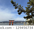 Miyajima's Great Torii Gate and the Blue Sky 129456734