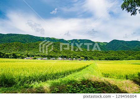 The tranquil rural scenery of Makino Town, Takashima City, Shiga Prefecture 129456804