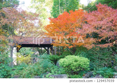 久屋大通花園 Flarie：被秋葉包圍的涼亭 129457039