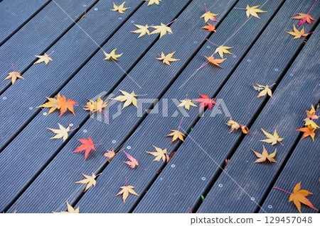 久屋大通花園 Floralie：地上飄落的秋葉 129457048