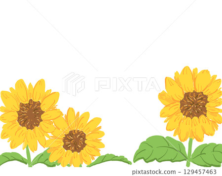 向日葵 向日葵 129457463