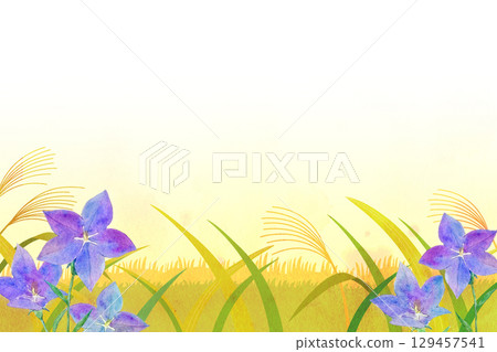 背景素材：芒草和風鈴草的風景、秋天的景象 129457541