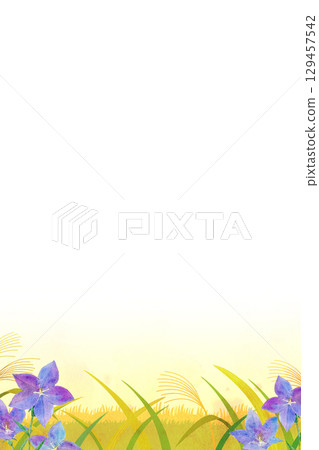 Background material: Landscape of Japanese pampas grass and bellflowers, autumn image Background material: Landscape of Japanese pampas grass and bellflowers, autumn image 129457542