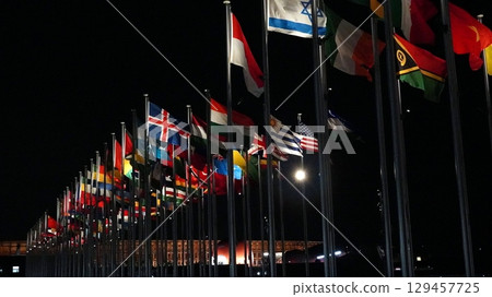 2025 Osaka Kansai Expo International Flags 129457725