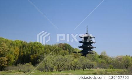 備中國分寺 129457793