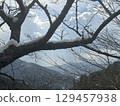 Snow-piled wood 129457938
