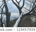 Snow-piled wood 129457939