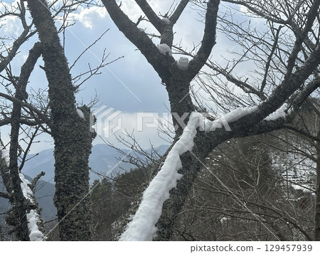 Snow-piled wood Snow-piled wood 129457939