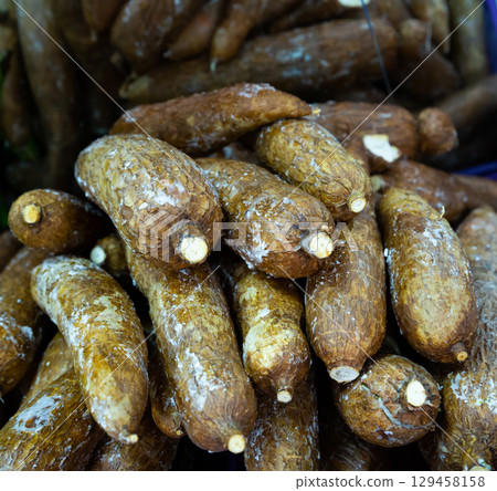 Close-up photo of yuca tubers Close-up photo of yuca tubers 129458158