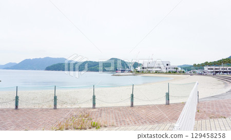 愛媛郡今治市的海豚農場 愛媛郡今治市的海豚農場 129458258