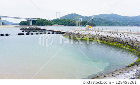 Dolphin Farm in Imabari City, Ehime Prefecture Dolphin Farm in Imabari City, Ehime Prefecture 129458261