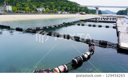 Dolphin Farm in Imabari City, Ehime Prefecture Dolphin Farm in Imabari City, Ehime Prefecture 129458263