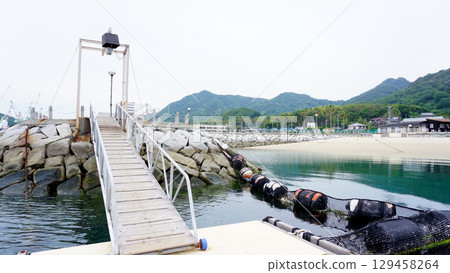 Dolphin Farm in Imabari City, Ehime Prefecture Dolphin Farm in Imabari City, Ehime Prefecture 129458264